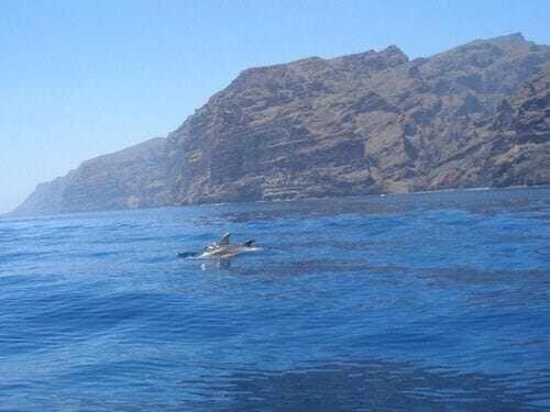 El Paraiso En Los Gigantes Santiago del Teide Kültér fotó