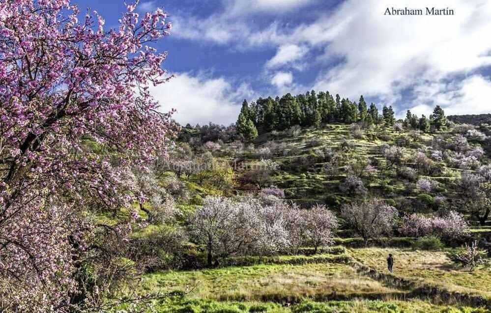 El Paraiso En Los Gigantes Santiago del Teide Kültér fotó